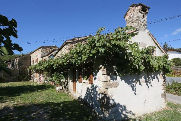 Istrian Experience Villa Socerga Eksteriør bilde
